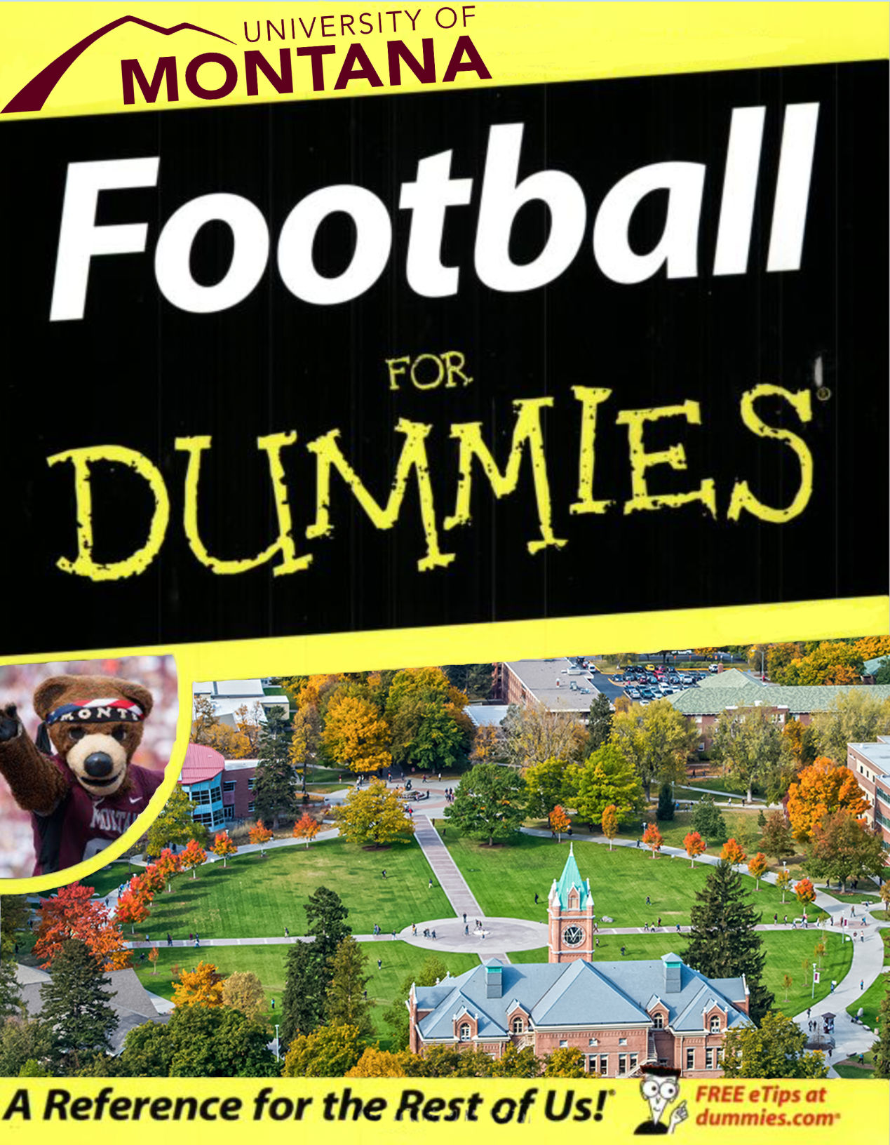 football_for_dummies_darlington